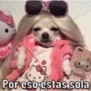 Caninos 21