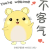 Mike Hamster 仓鼠麦麦 20