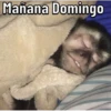 Changos 19