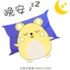 Mike Hamster 仓鼠麦麦 22