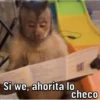 Changos 2 22