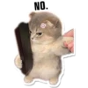 Cat Cat 8
