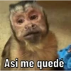Changos 20