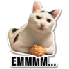 Cat Cat 9