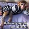 Changos 2 24