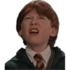 Harry Potter 17