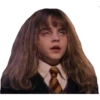 Harry Potter 18