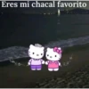 Hello Kitty 24