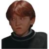 Harry Potter 20