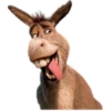 CIUCHINO/DONKEY/SHREK 9