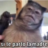 Changos 22