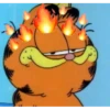 Garfield 21