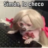 Caninos 26