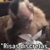 Changos 23