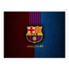 FC Barcelona 2021 26