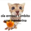 Enculao 11