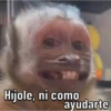 Changos 24