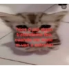 No se JAJAAJJA 17