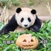 panda3 10