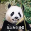 panda3 11