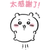 Chiikawa.q 22