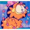 Garfield 29