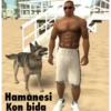 Hamanesi Kon bida