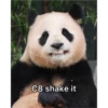 panda3 12