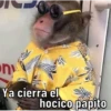 Changos 2 29