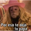 Changos 28