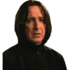 Harry Potter 29