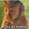 Changos 2 30