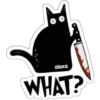 Gato quê?