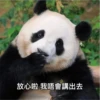 panda2 6