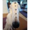 Perritos!!! 8