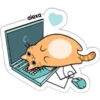 Gato laptop
