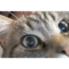 mocio 3