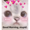 morning 6