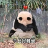panda2 10