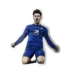 Chelsea FC 8
