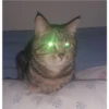 mocio 8