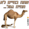 Caveman Classic ISR14 7