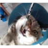 mocio 9