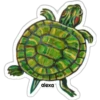 Tartaruga verde