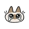 Kawaii Siamese 9