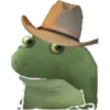 froge 5