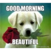 morning 11