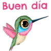 Buenos Dias_VR1 12