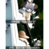 chaijun 8
