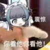 chaijun 9